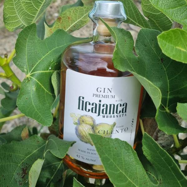 FICAJANCA NBURNATA premium Gin 70ml