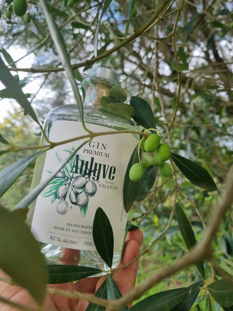 Gin Premium Aulyve