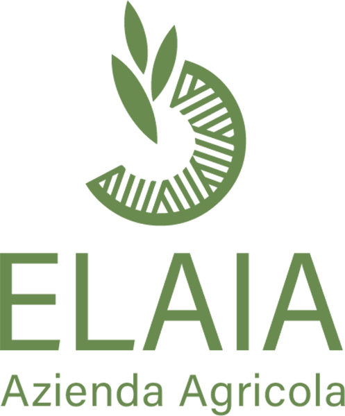 ELAIA-600x497-1